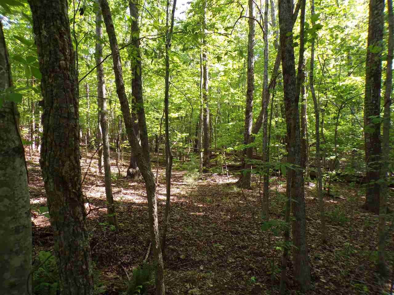 0 Bryson Harbor Road Counce, TN 38326 - Photo 1 of 5 Gallery Image 1