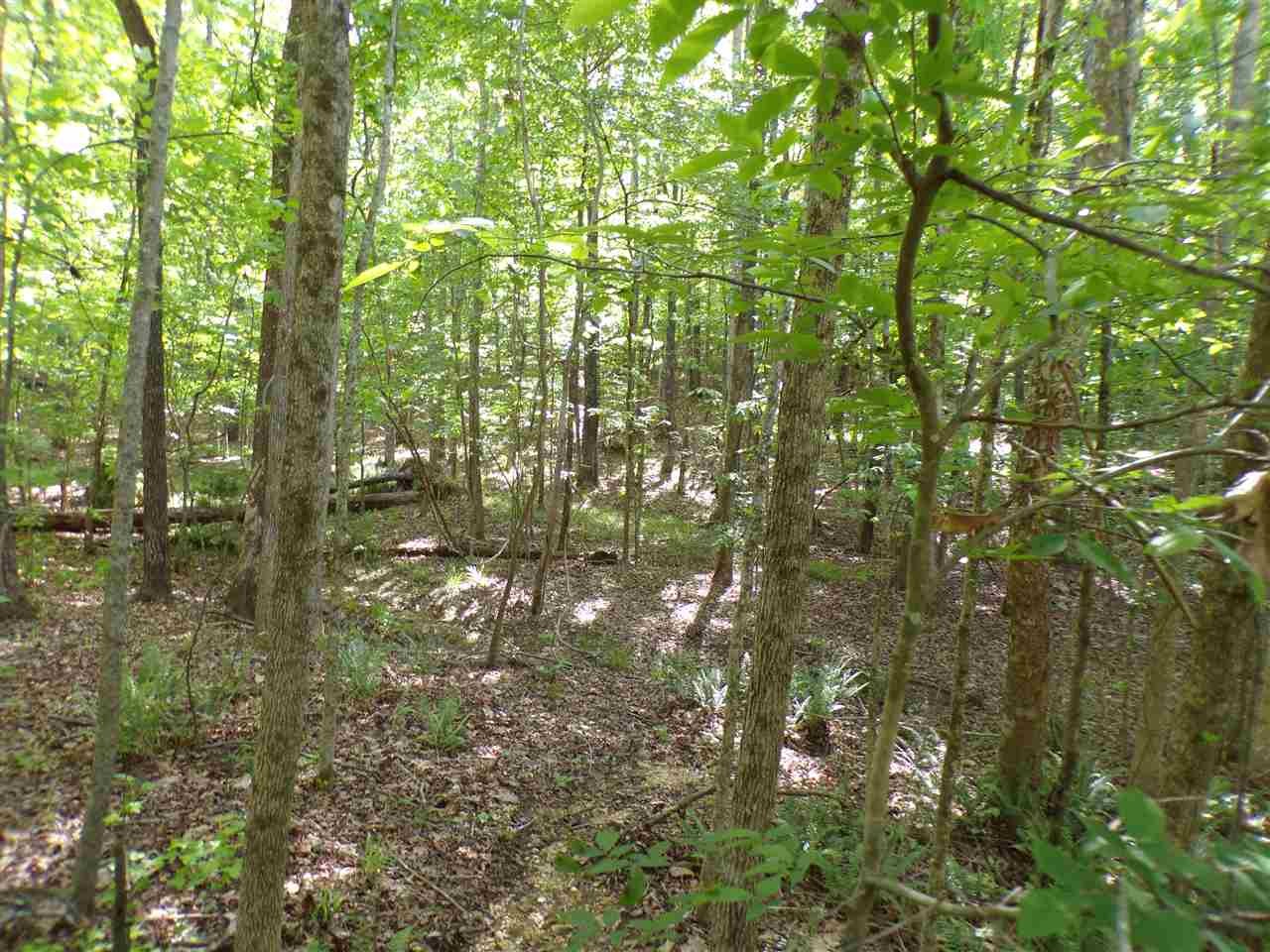 0 Bryson Harbor Road Counce, TN 38326 - Photo 5 of 5 Gallery Image 5