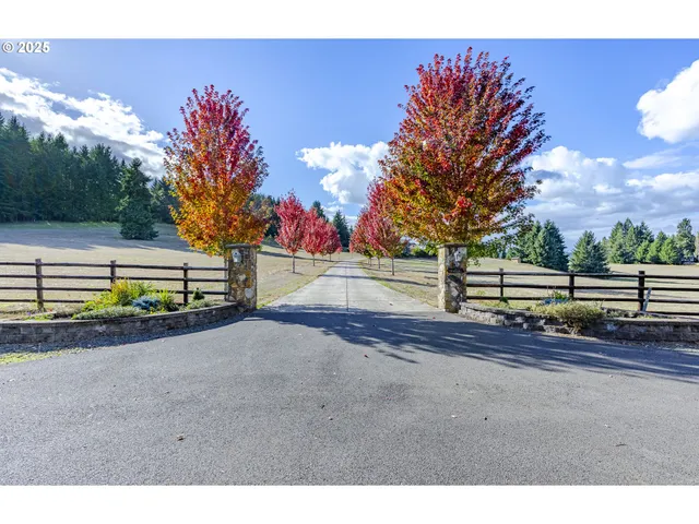 a view of a street with a yard