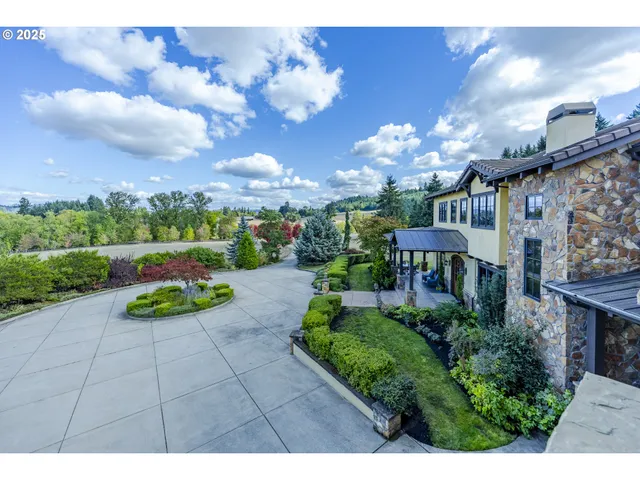 a view of a garden with plants and a bench