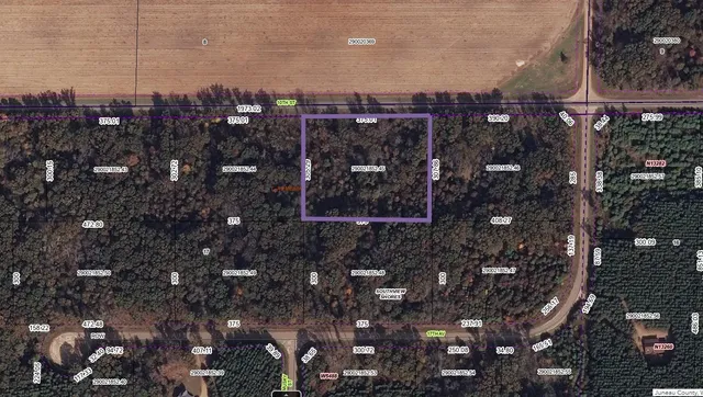 $42,950 | Lot 45 10th, Necedah, WI 54646