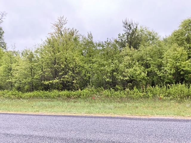 Lot 45 10th Necedah, WI 54646 - Photo 2 of 14