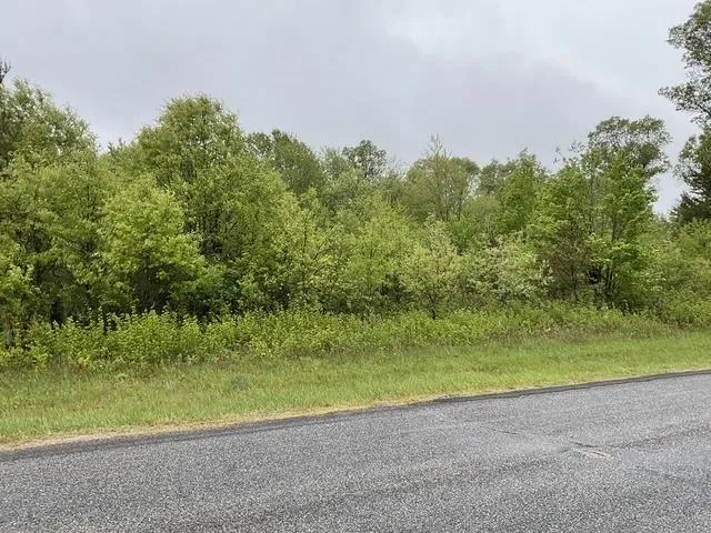 $42,950 | Lot 45 10th, Necedah, WI 54646