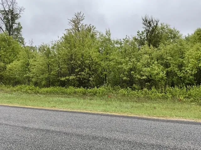 $42,950 | Lot 45 10th, Necedah, WI 54646