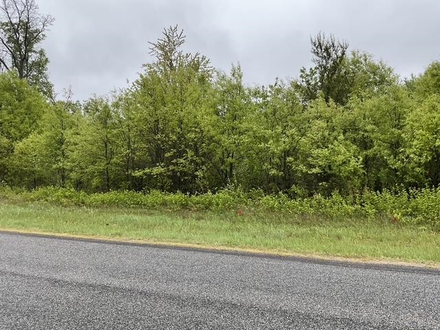 Lot 45 10th Necedah, WI 54646 - Photo 4 of 14