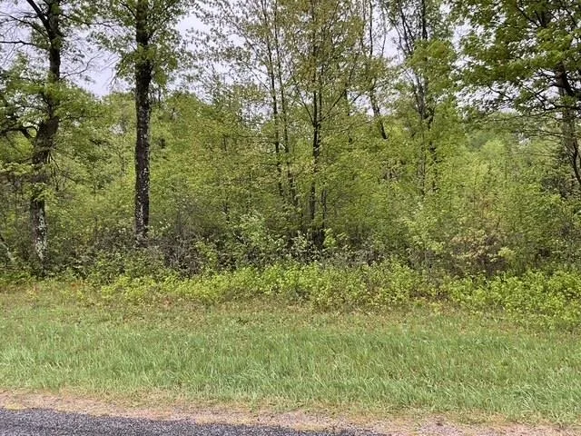 $42,950 | Lot 45 10th, Necedah, WI 54646