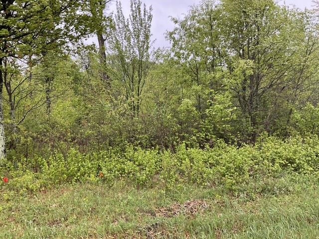 Lot 45 10th Necedah, WI 54646 - Photo 6 of 14