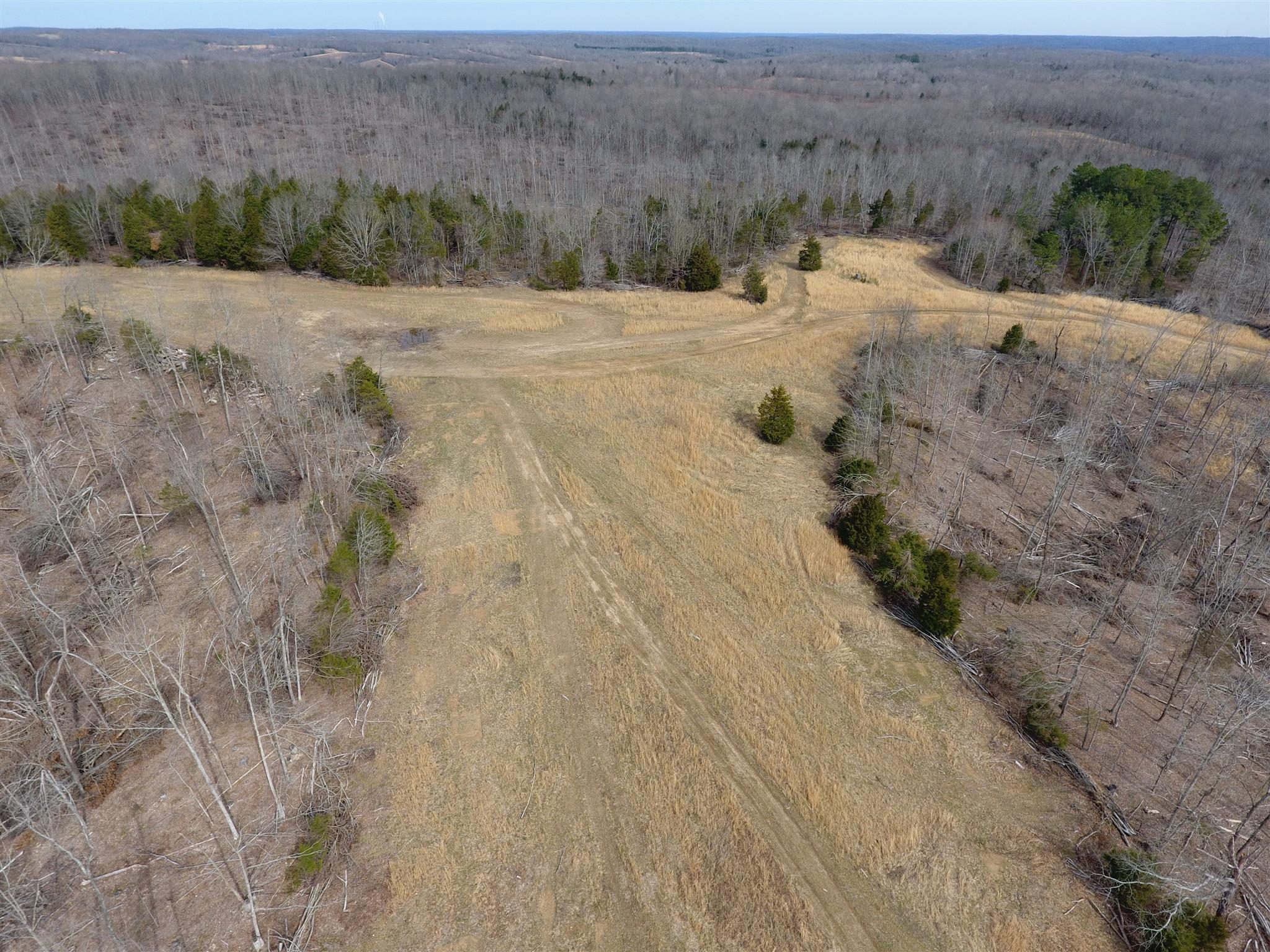 5 Balthrop Branch Road Dickson, TN 37055 - Photo 4 of 10 Gallery Image 4