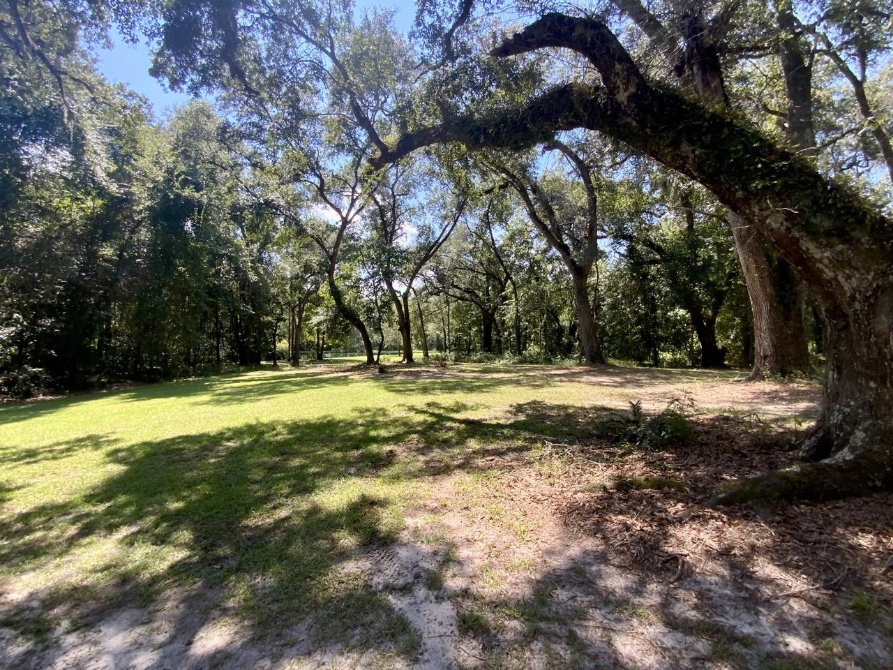 1710 Northwest Ebenezer Church Road Madison, FL 32340 - Photo 1 of 10 Gallery Image 1