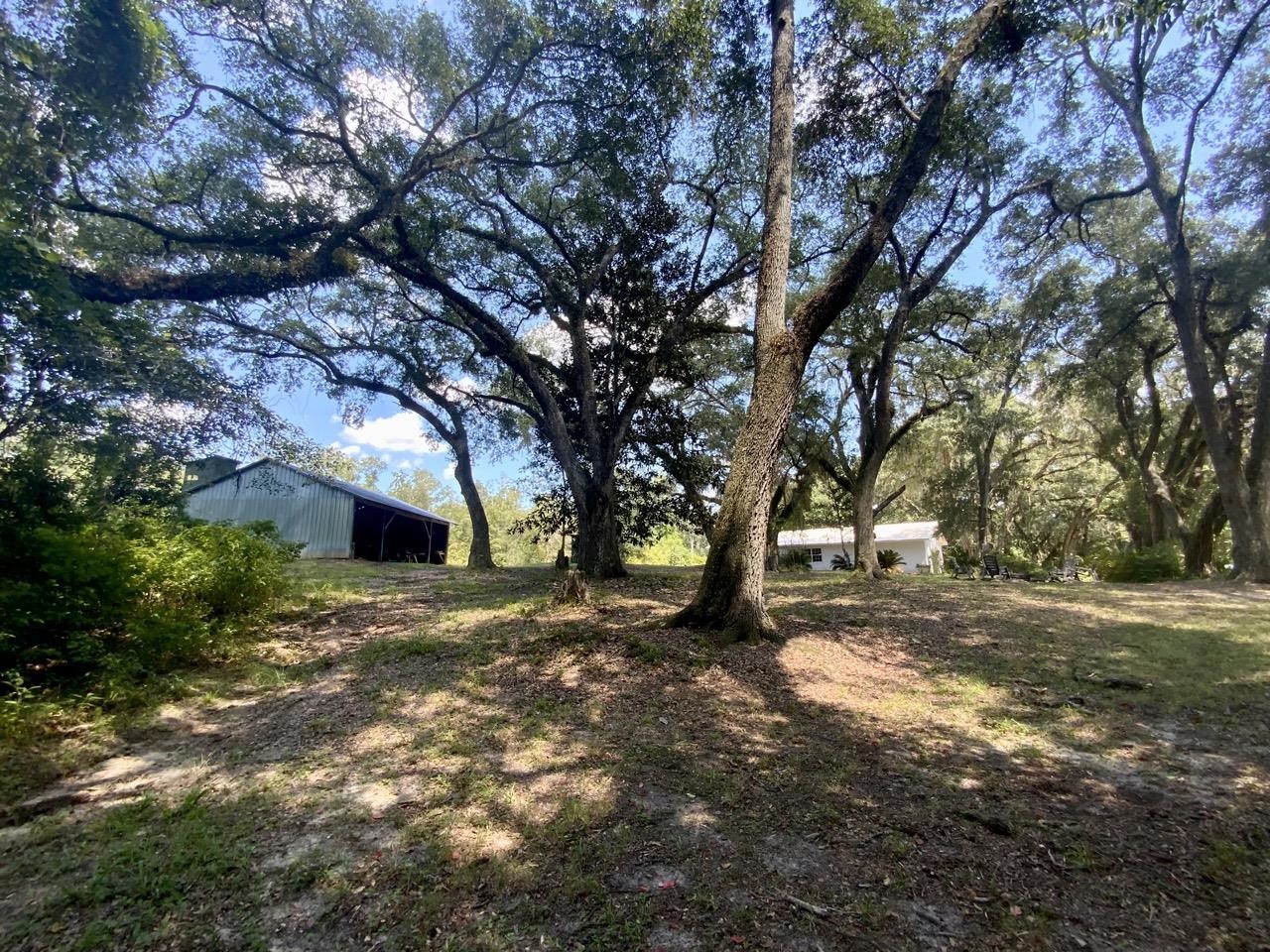 1710 Northwest Ebenezer Church Road Madison, FL 32340 - Photo 2 of 10 Gallery Image 2