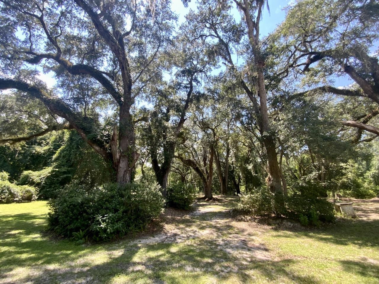 1710 Northwest Ebenezer Church Road Madison, FL 32340 - Photo 9 of 10 Gallery Image 9