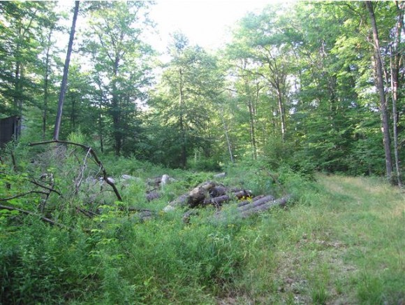 89 Richardson Road Lyndeborough, NH 03082 - Photo 3 of 7