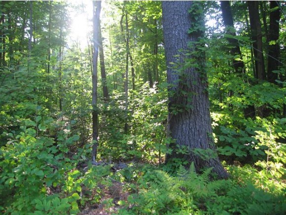 89 Richardson Road Lyndeborough, NH 03082 - Photo 5 of 7