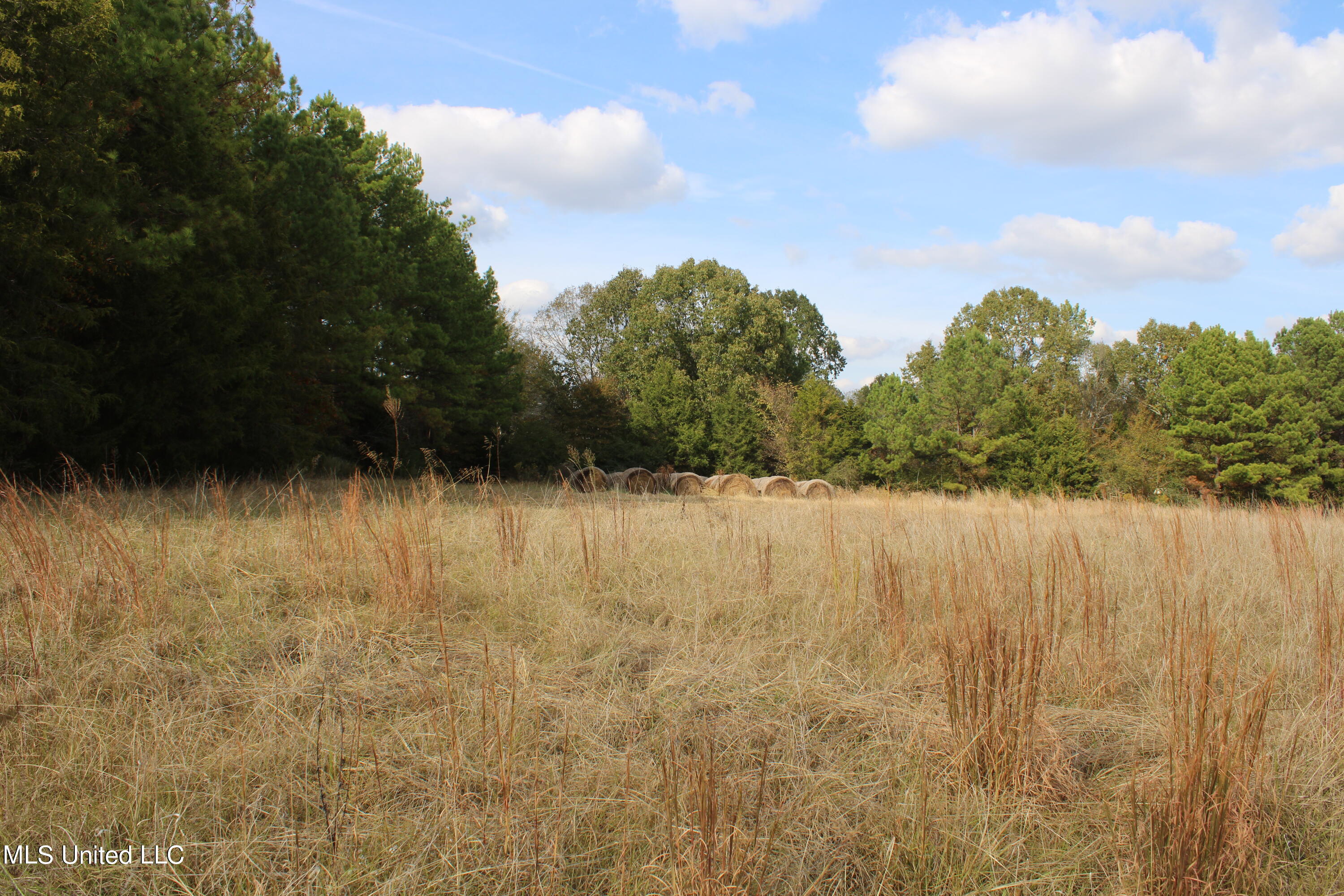 6459 Yellow Dog Road Senatobia, MS 38668 - Photo 2 of 34 IMG_0291