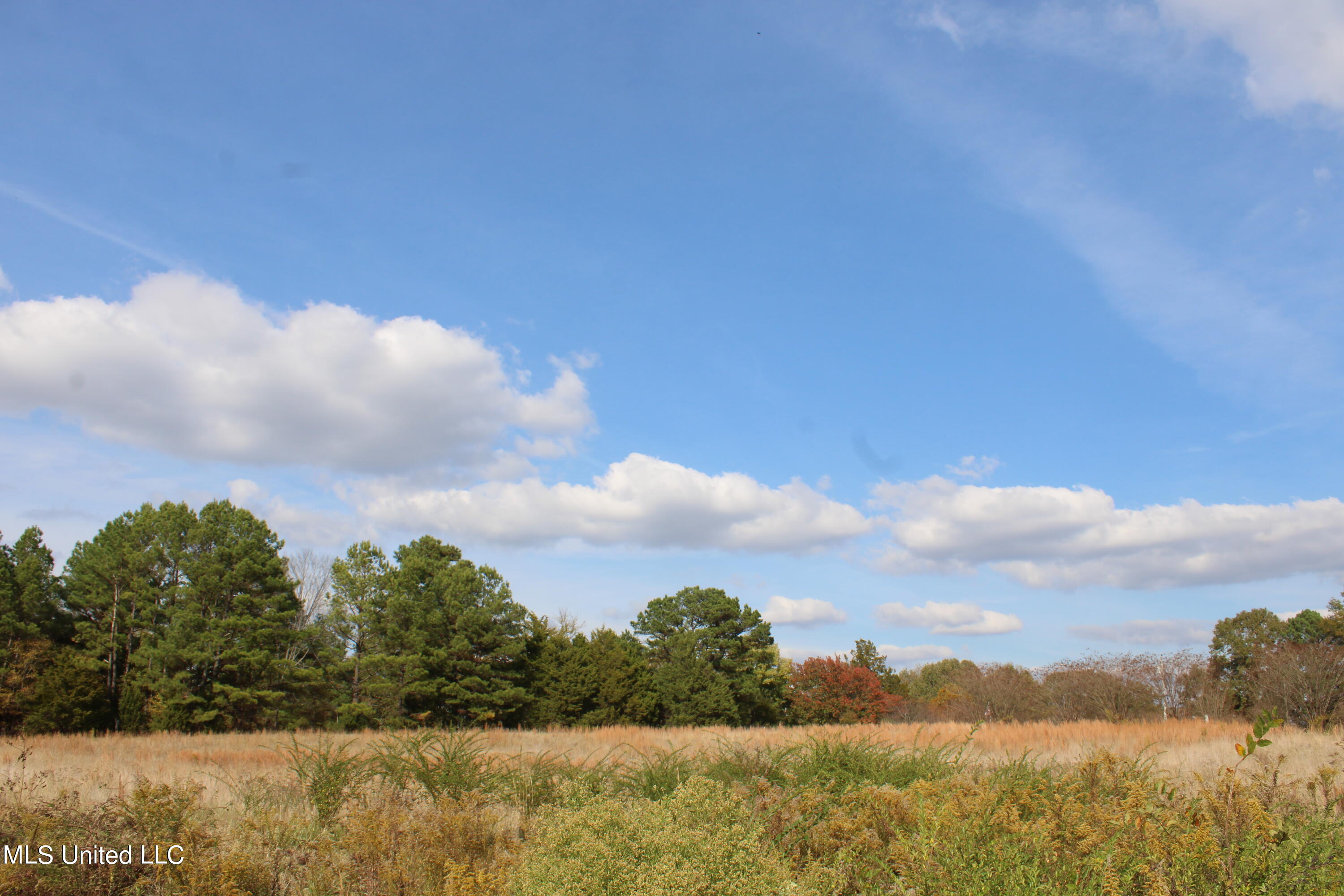 6459 Yellow Dog Road Senatobia, MS 38668 - Photo 7 of 34 IMG_0296