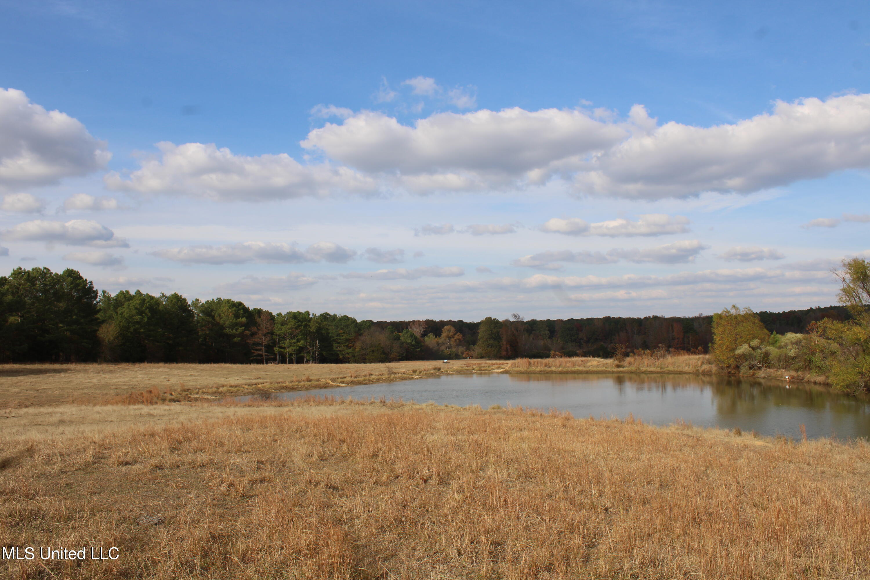 6459 Yellow Dog Road Senatobia, MS 38668 - Photo 9 of 34 IMG_0298