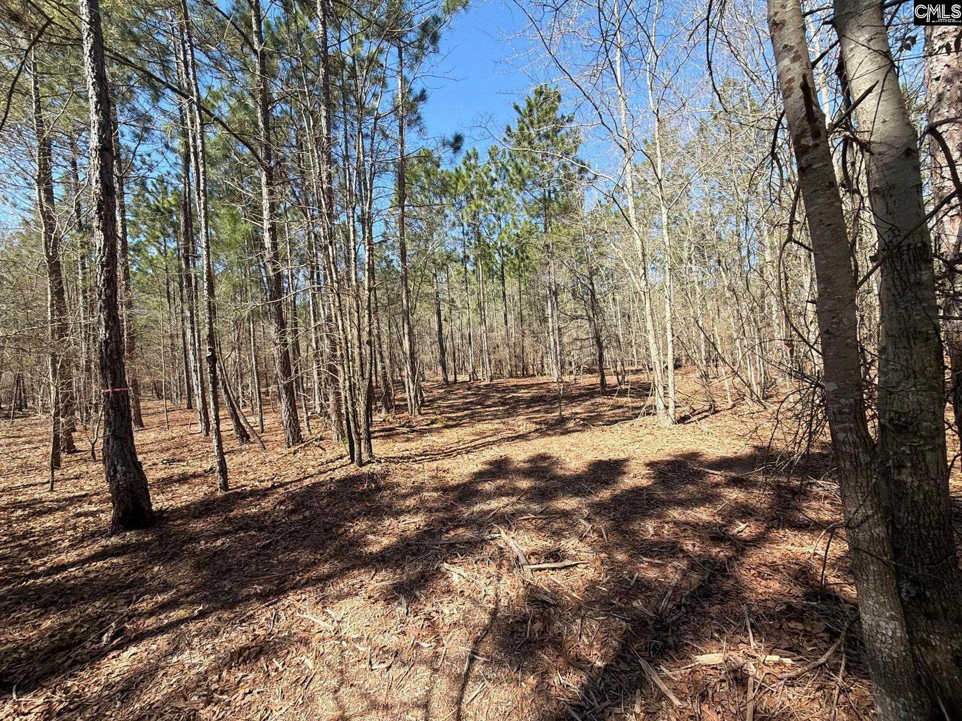 13 Boise Cascade Road, Unit BHL 13 Bethune, SC 29009 - Photo 8 of 31