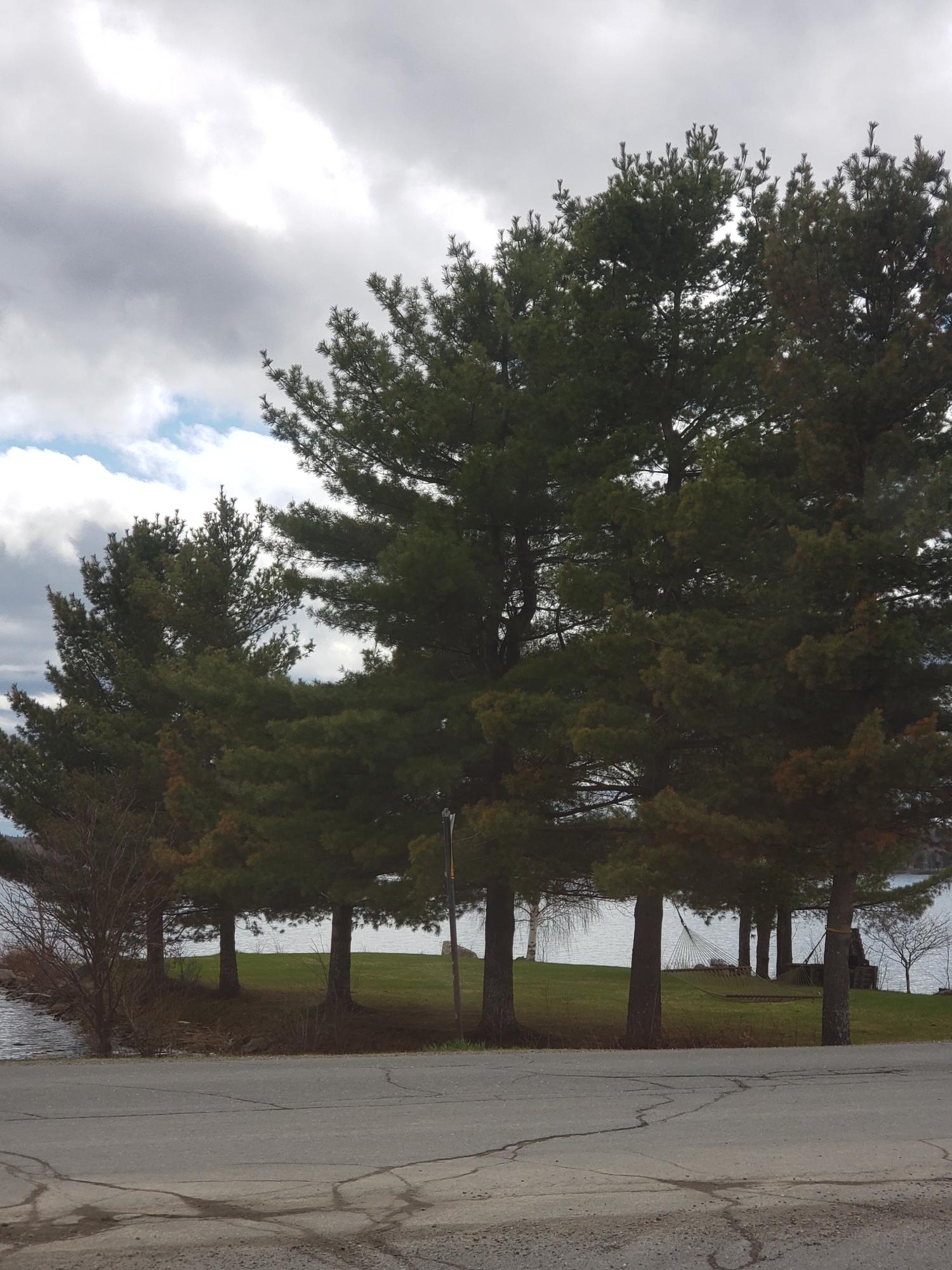 155 Golf Course Road St. David, ME 04773 - Photo 19 of 23 6558