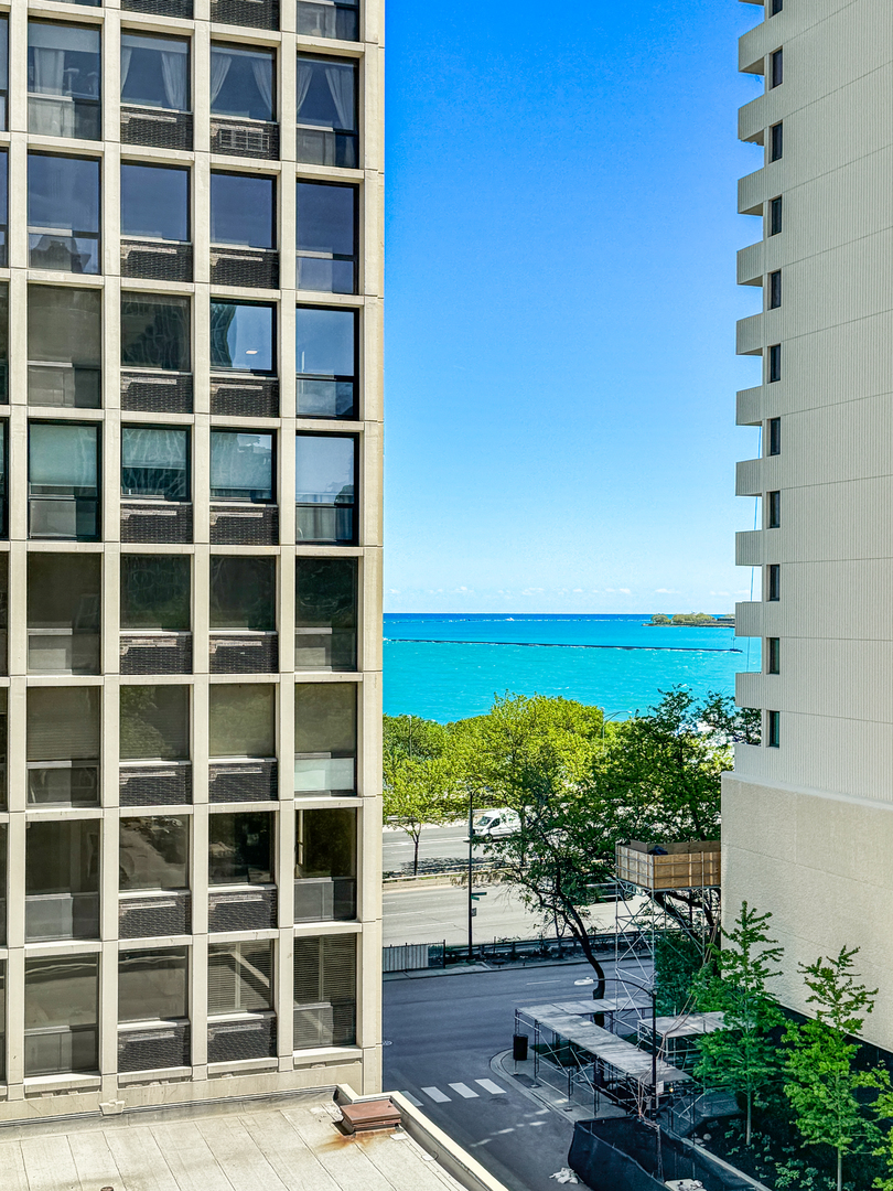 70 East Scott Street, Unit 605 Chicago, IL 60610 - Photo 5 of 29