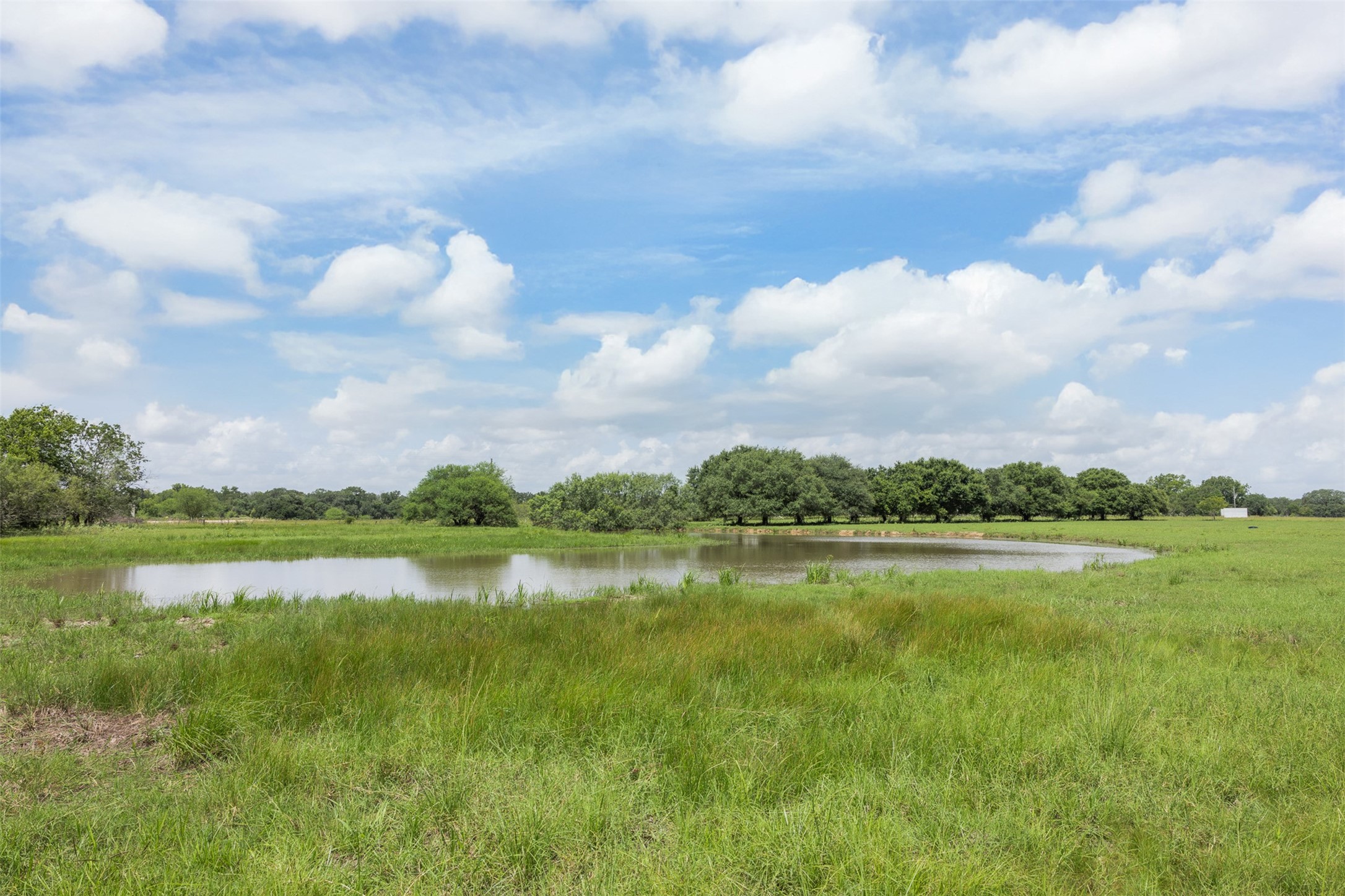 4231 Johnston Road Wallis, TX 77485 - Photo 44 of 50 Gallery Image 44