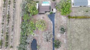 7597 Highway 31 Arcadia, FL 34266 - Photo 37 of 45 a backyard with lots of green space