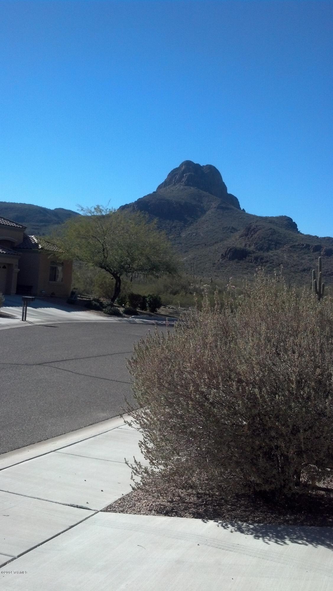 7845 North Rondure Loop Tucson, AZ 85743 - Photo 4 of 4 Gallery Image 4