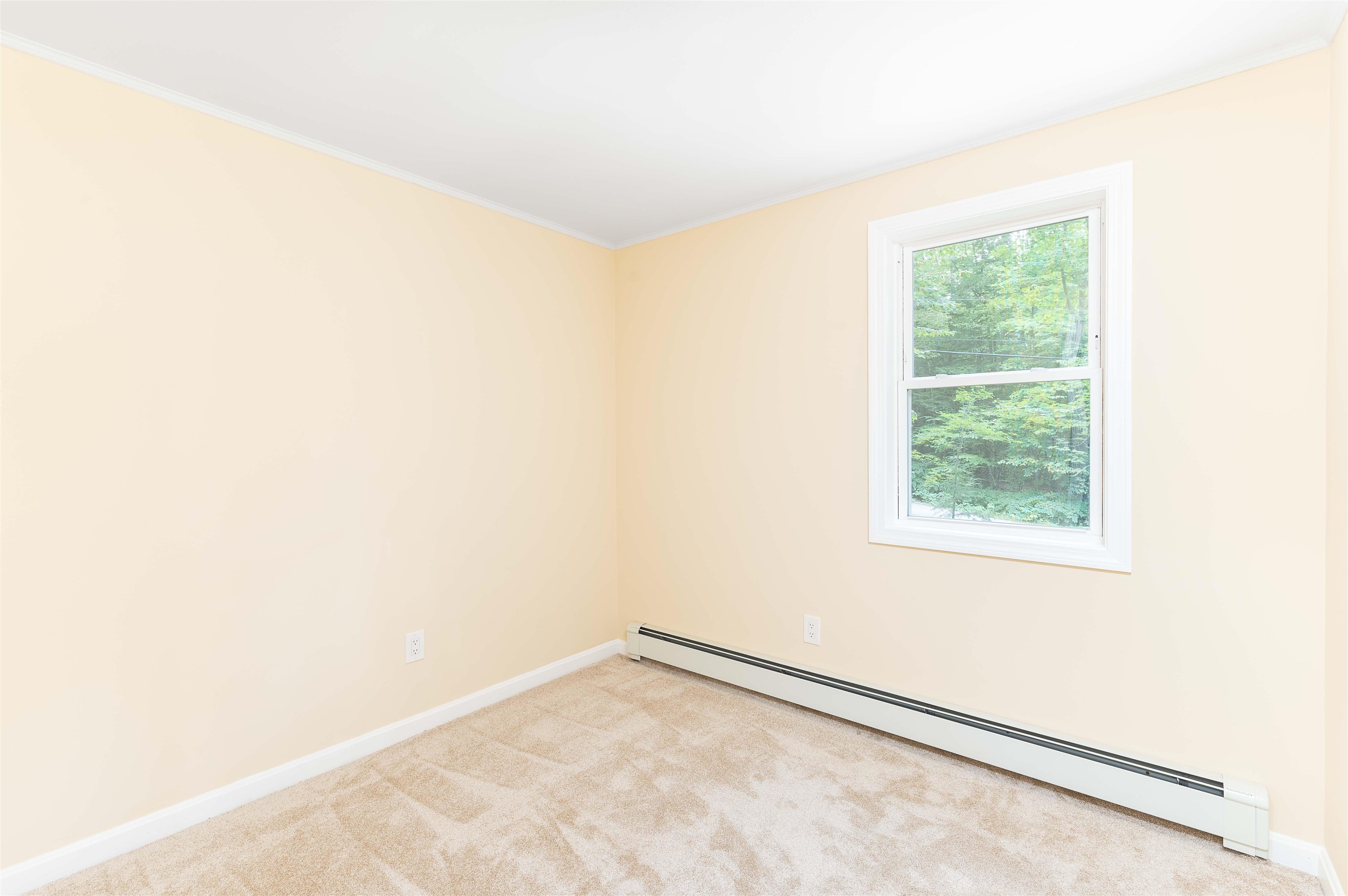 152 Town Line Road Conway, NH 03818 - Photo 11 of 26