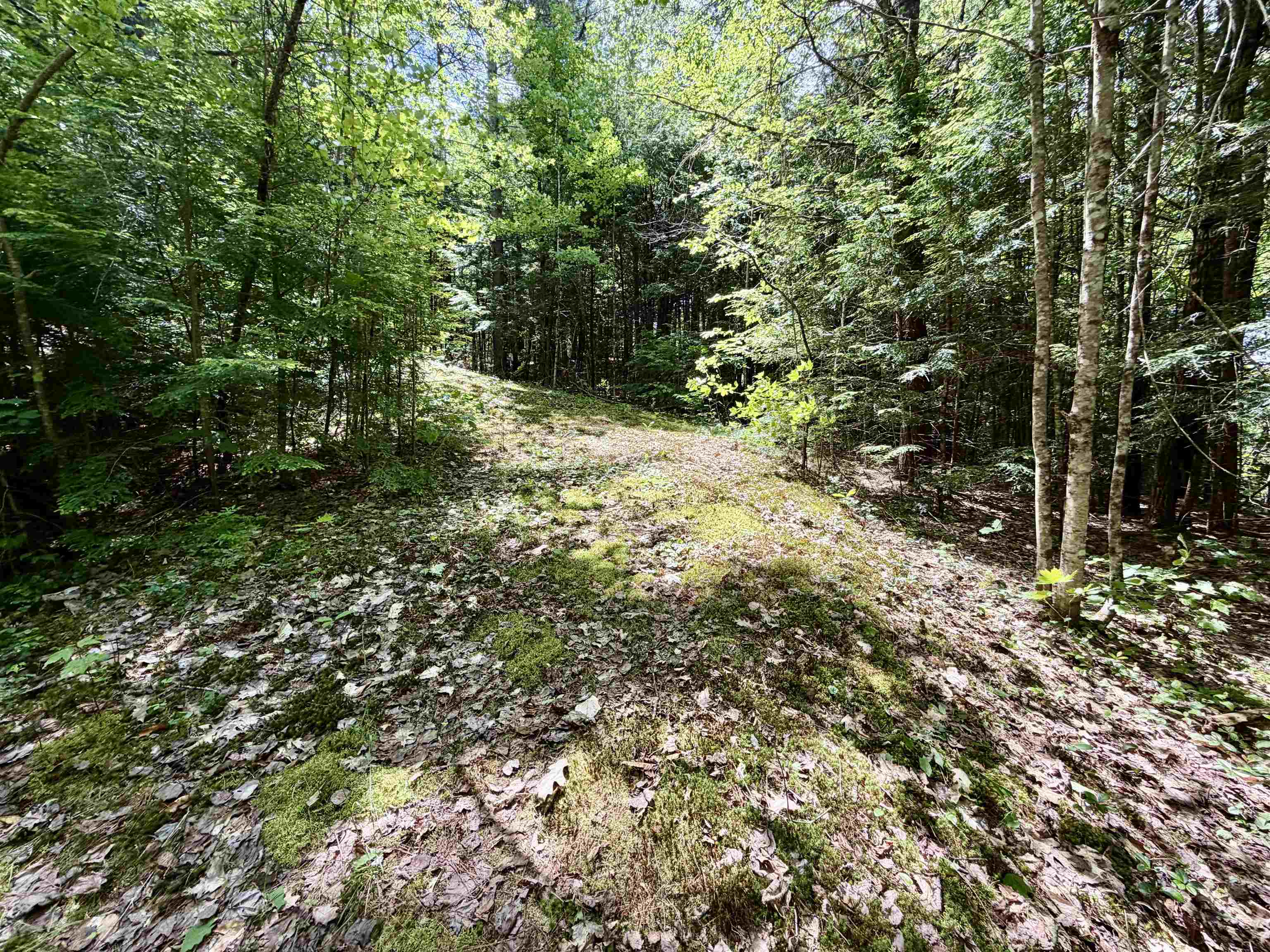 175 Nh Route Campton, NH 03223 - Photo 13 of 15