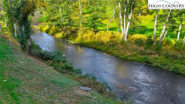 a view of a yard with plants and large trees