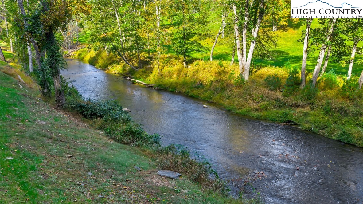 379 Turtle Rdg Road Sparta, NC 28675 - Photo 23 of 43 a view of a yard with plants and large trees