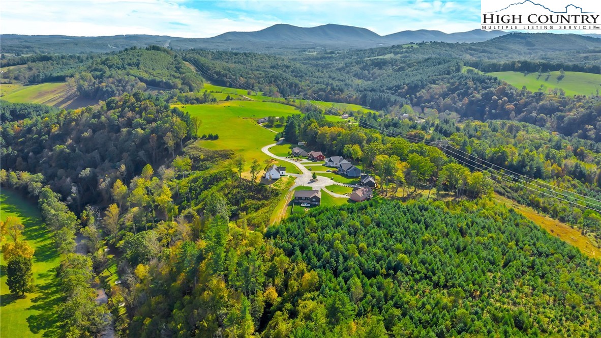 379 Turtle Rdg Road Sparta, NC 28675 - Photo 10 of 43 a view of a garden with mountains in the background