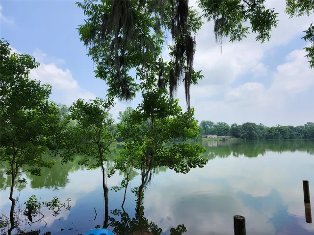 a view of a backyard with large trees