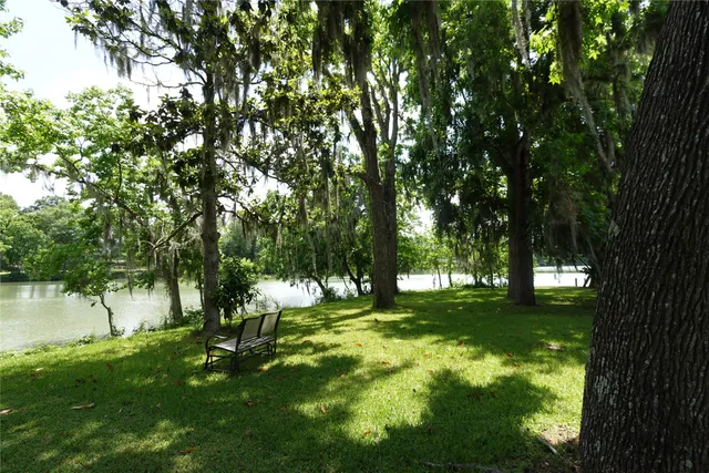 a view of a trees with a yard
