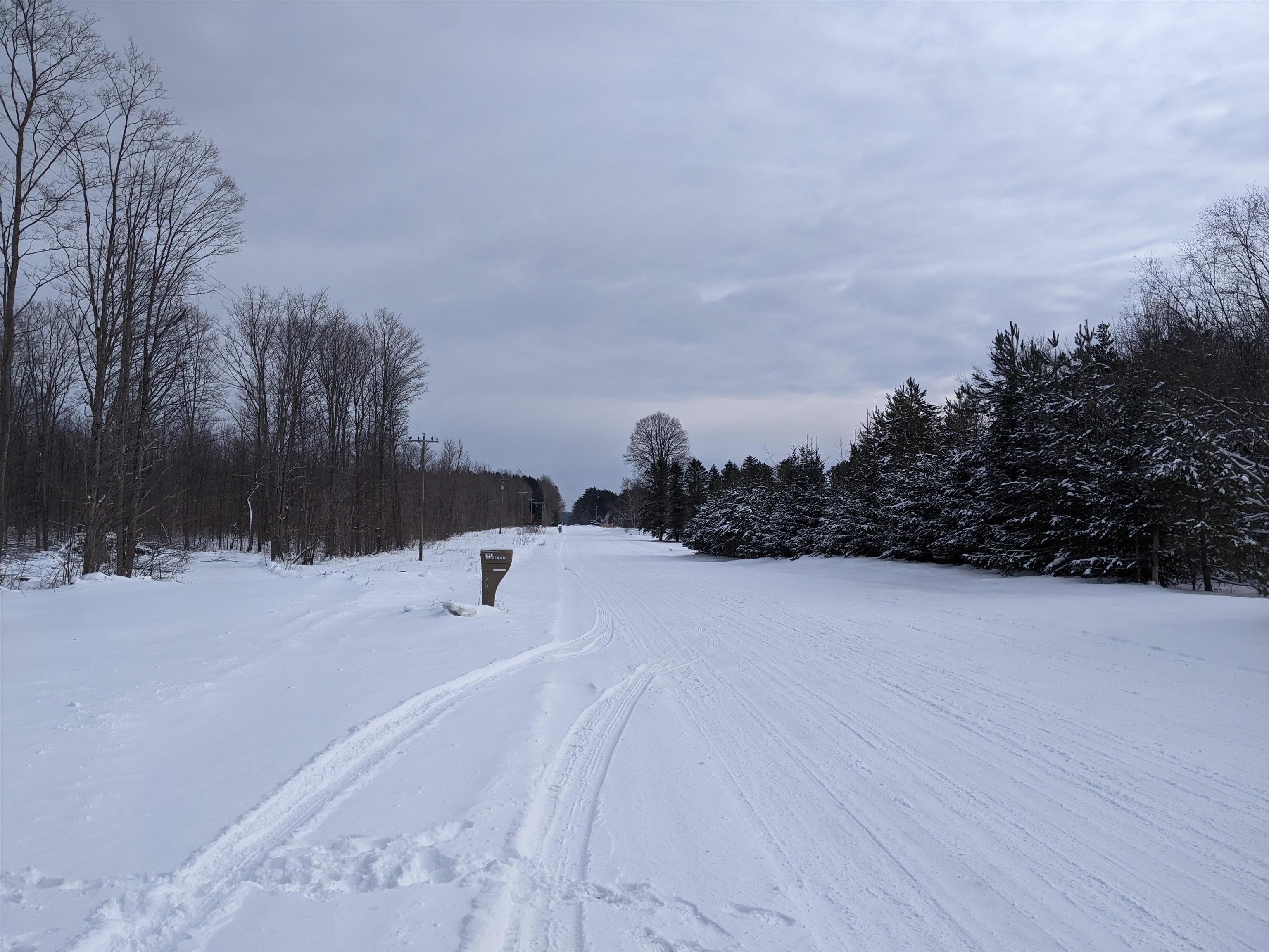 0 Soderquist Road Mancelona, MI 49659 - Photo 3 of 8