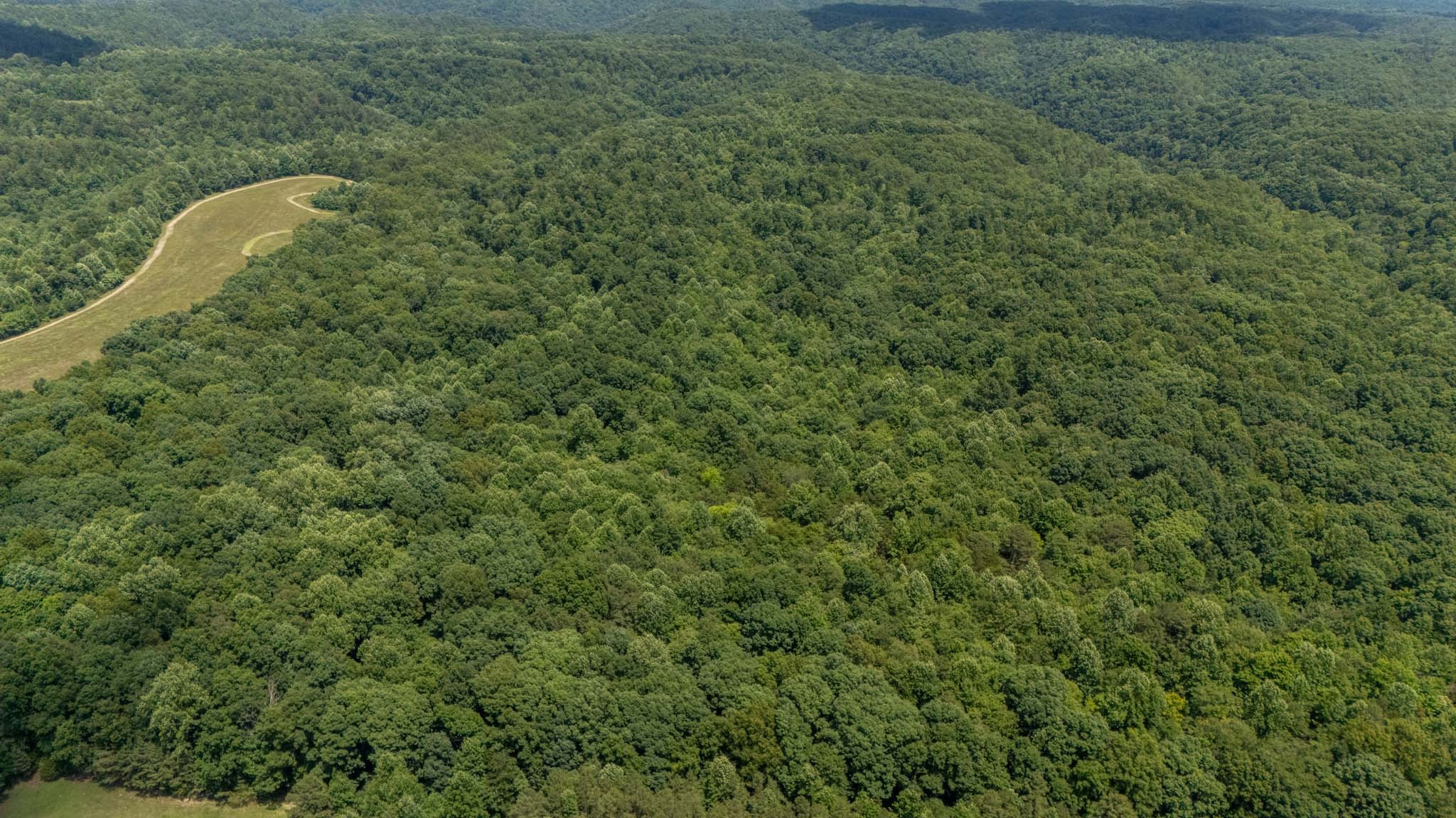 3772 Pea Ridge Road Liberty, TN 37095 - Photo 35 of 52