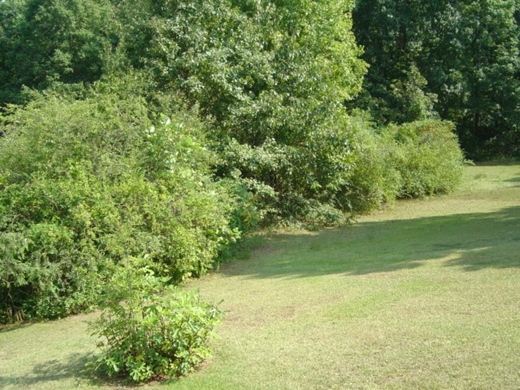 133 Stamp Creek Road Salem, SC 29676 - Photo 23 of 28 Gallery Image 23