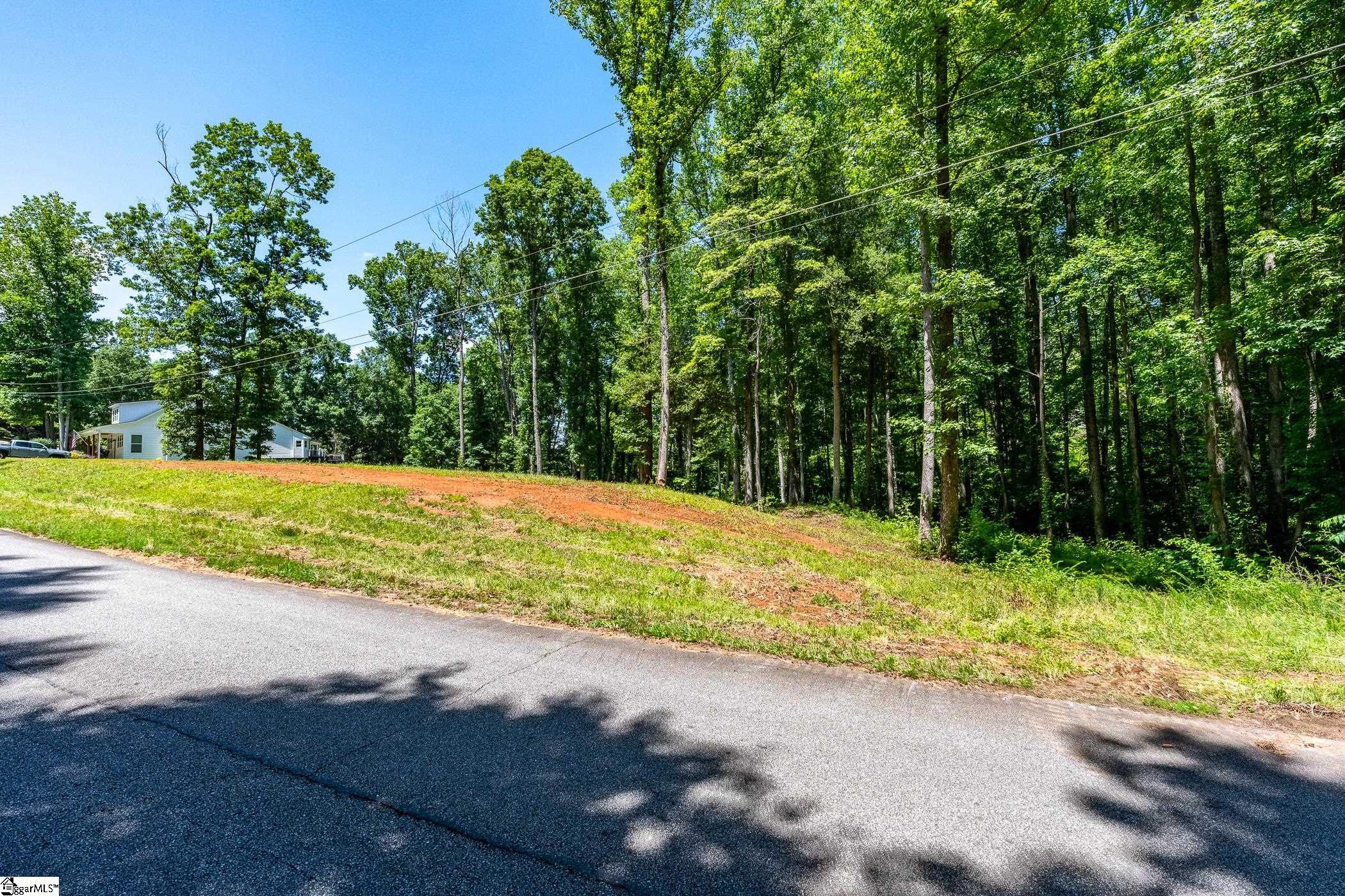136 Amber Drive Inman, SC 29349 - Photo 18 of 21