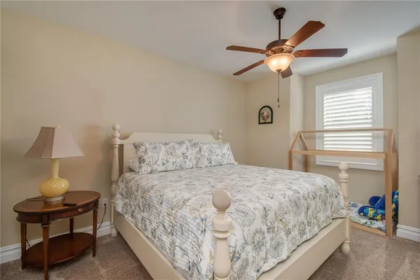 a view of a backyard with large trees