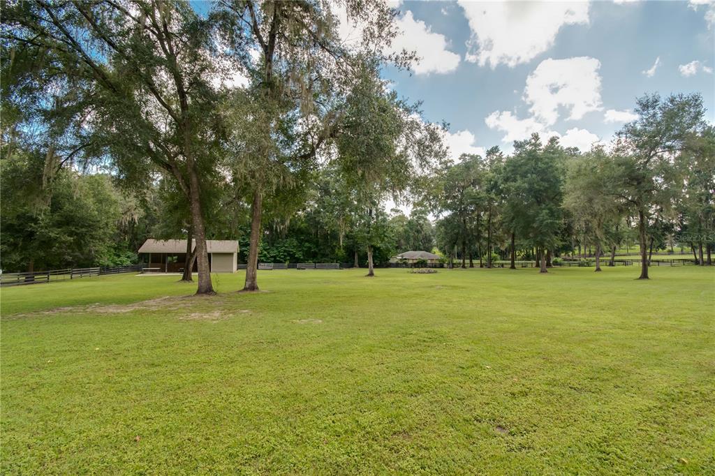 1219 Southwest 63rd Street Road Ocala, FL 34476 - Photo 64 of 72 a view of a trees in a yard