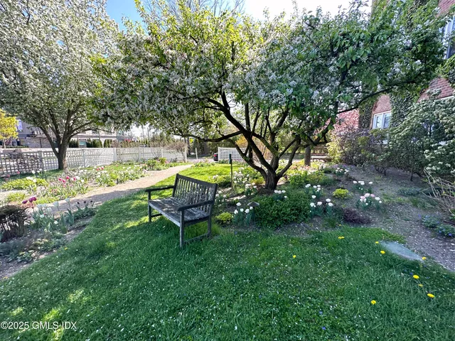 a view of a garden with a bench and some trees