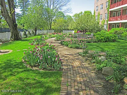 a view of backyard with a garden and trees