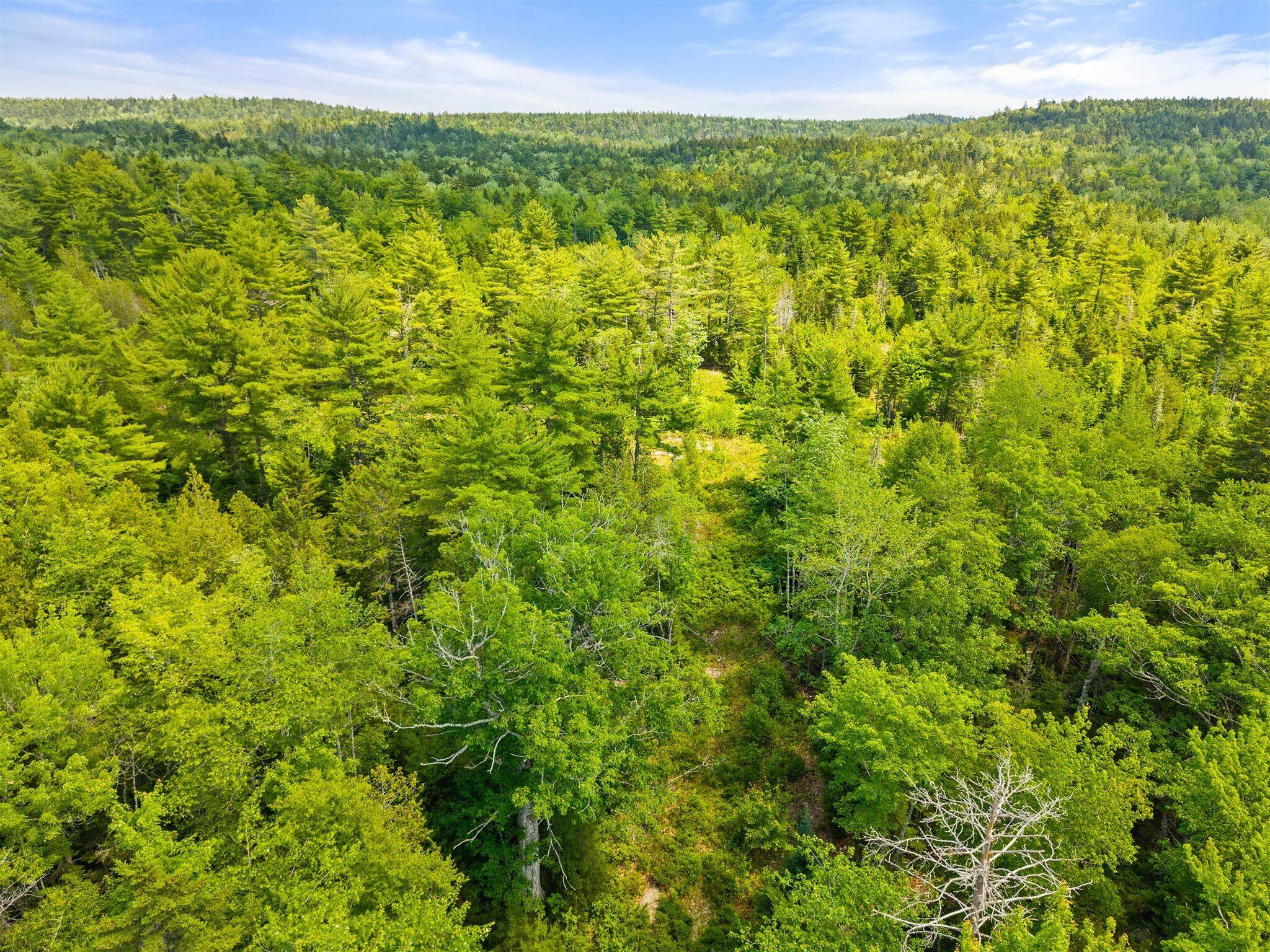 0 Catamount Road Sullivan, ME 04664 - Photo 18 of 23 18-Bert Gray Rd