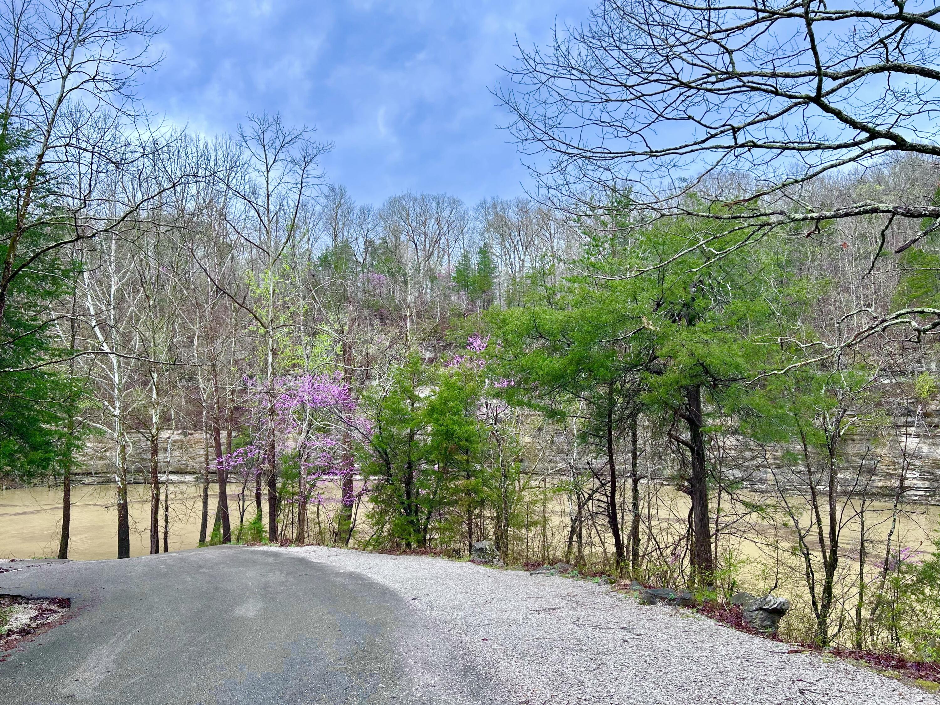 93 Traveler Road Somerset, KY 42501 - Photo 3 of 59 IMG_1221