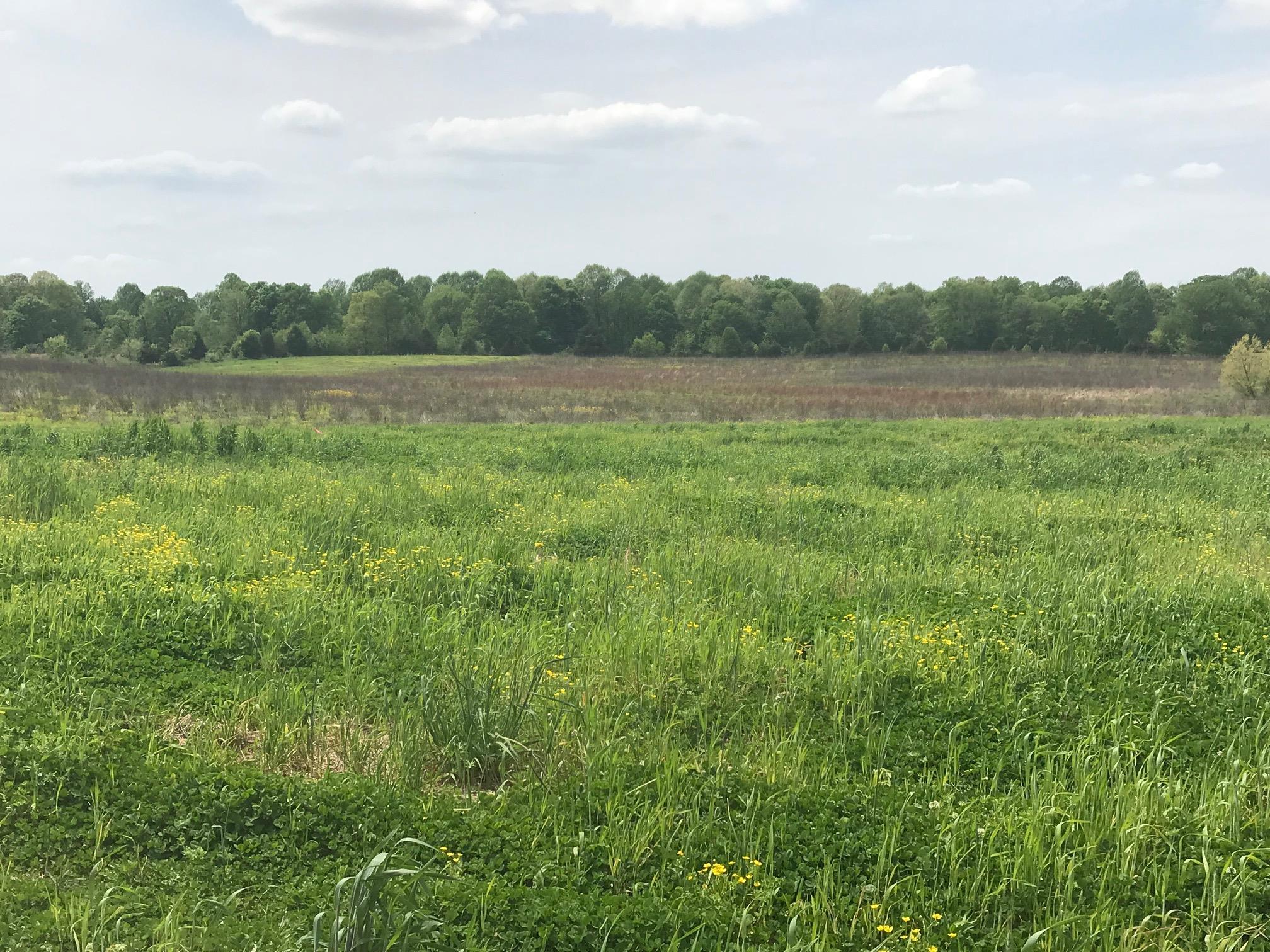 1022 Gil Hodges Road Portland, TN 37148 - Photo 3 of 9 a view of a field with trees in the background