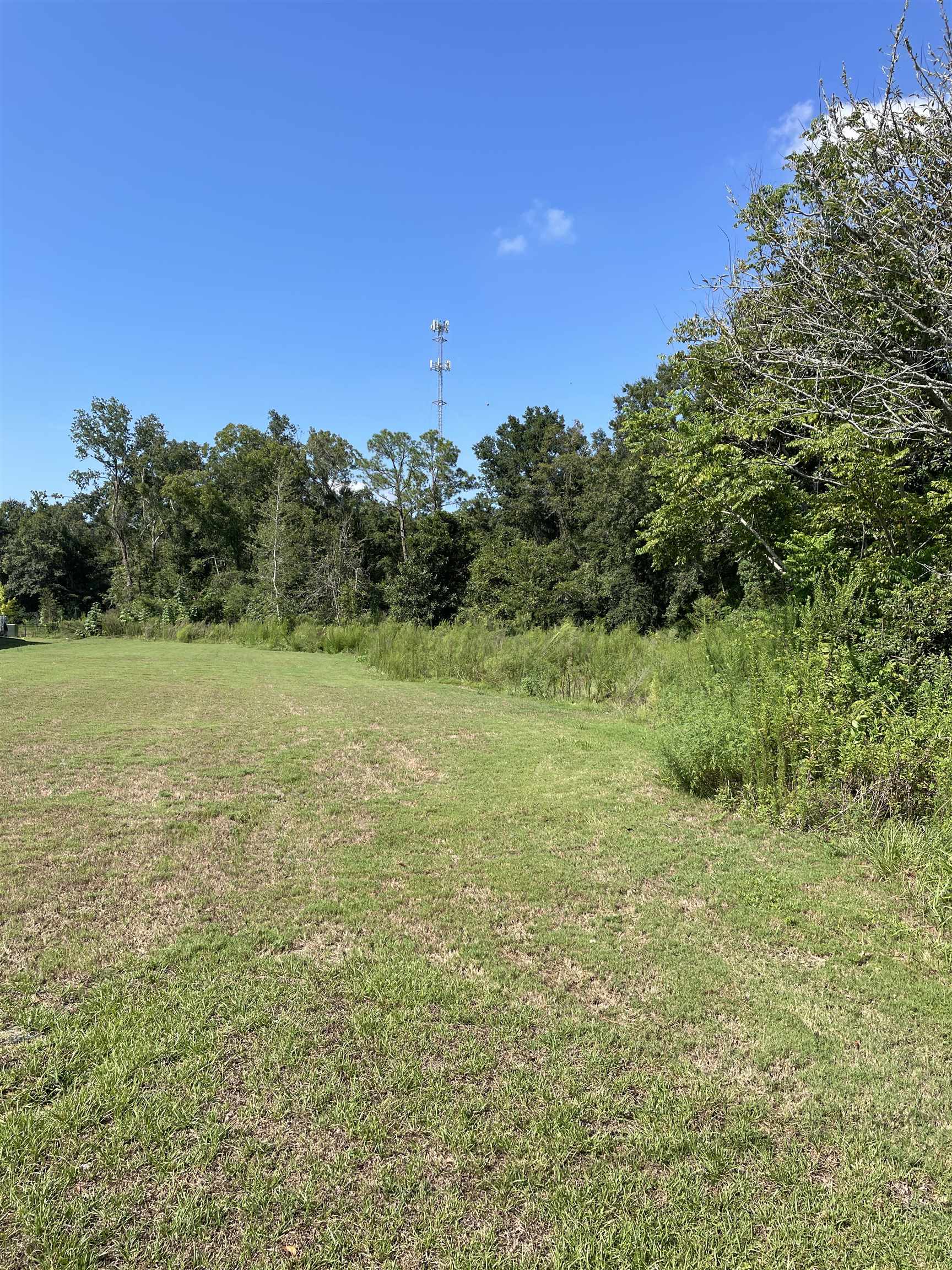 14745 Highway 98 Foley, AL 36535 - Photo 5 of 13