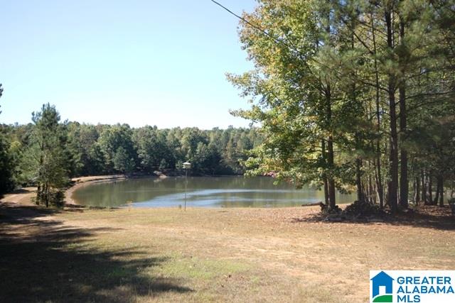 0 County Road 928, Unit 19 Delta, AL 36258 - Photo 4 of 43