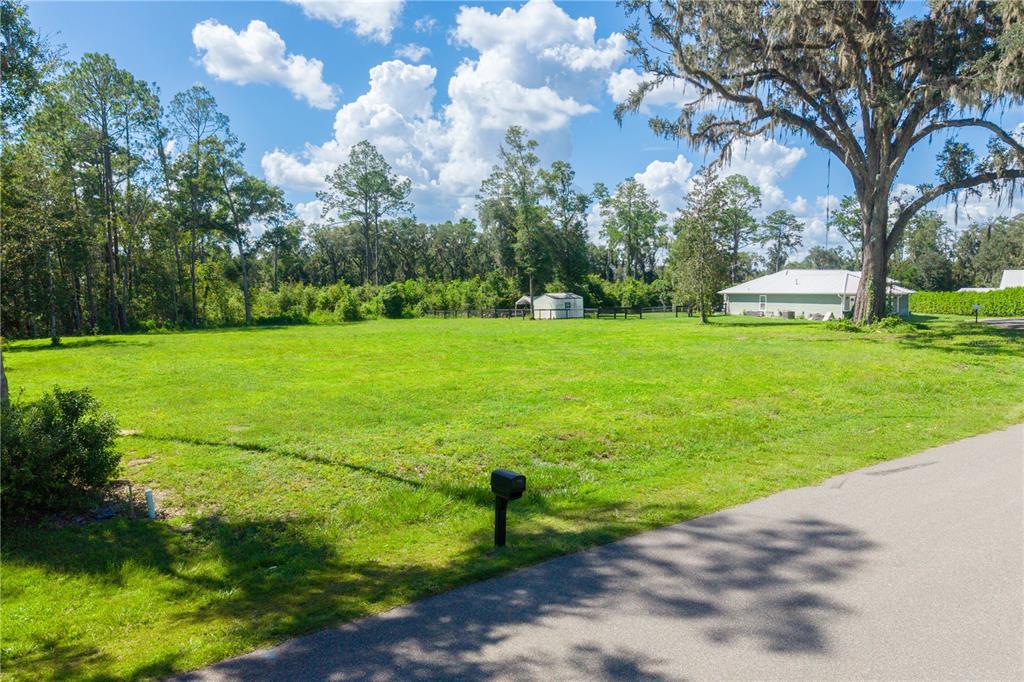 Southwest 9th Street Williston, FL 32696 - Photo 3 of 10 Gallery Image 3