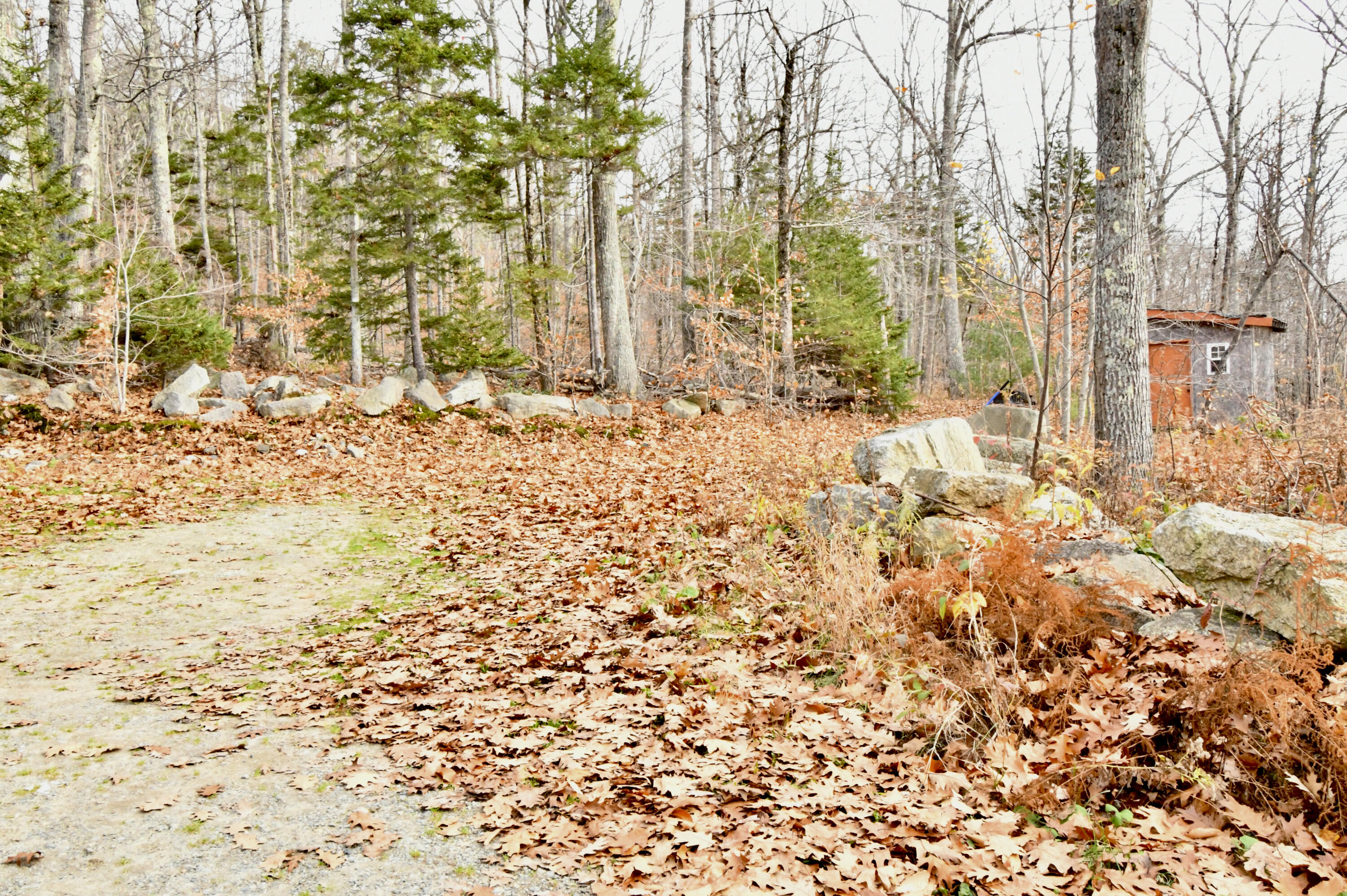 57 Sunset Road Dedham, ME 04429 - Photo 31 of 42 94FE3F54-B1BC-47DB-A8FA-0B298EB8704F_1_2