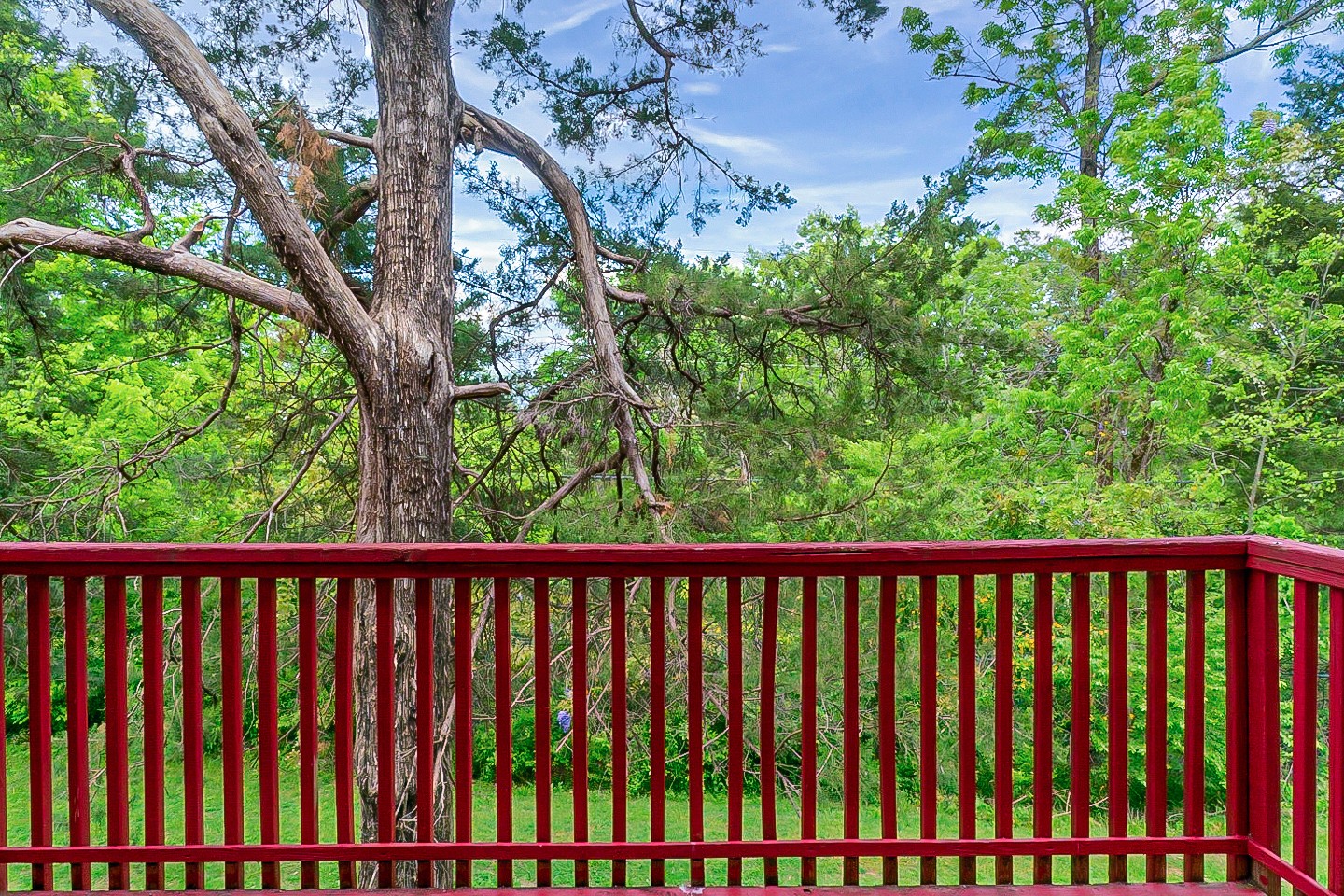 4000 Anderson Road, Unit 51 Nashville, TN 37217 - Photo 26 of 27 Gallery Image 26