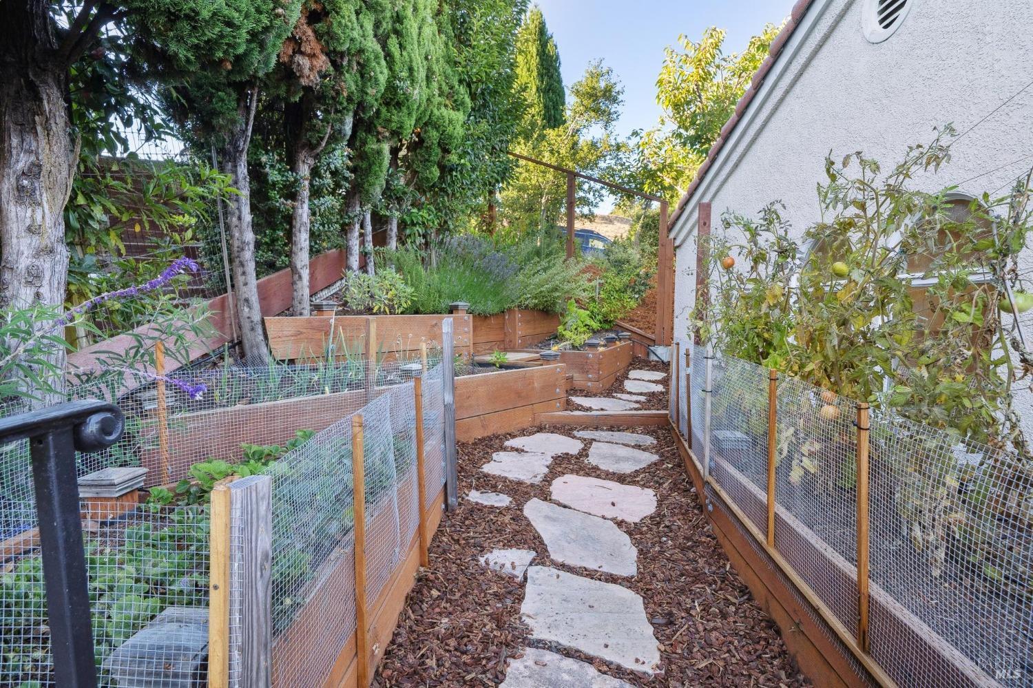 113 Chapel Drive Mill Valley, CA 94941 - Photo 33 of 60 a backyard of a house with outdoor seating